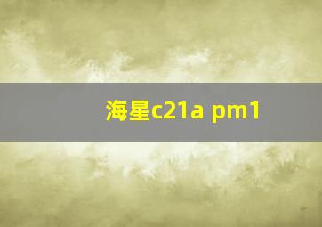 海星c21a pm1